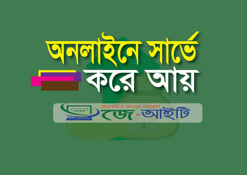 online sarvey income site